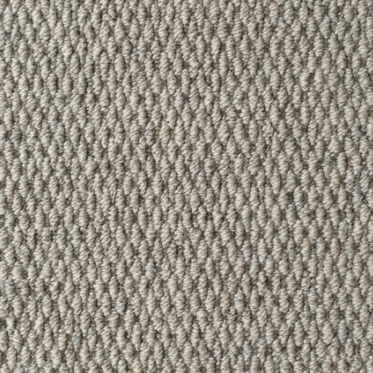 Littlebourne Carpet