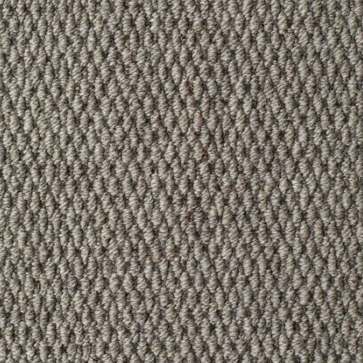 Littlebourne Carpet