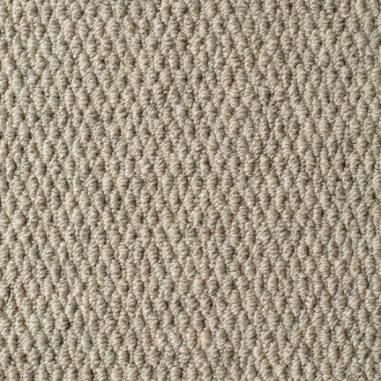 Littlebourne Carpet