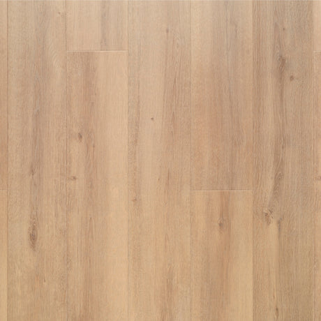 Lifestyle Love AQUA Steam Laminate