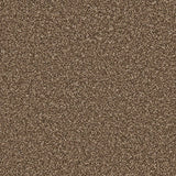 Apollo Plus carpet