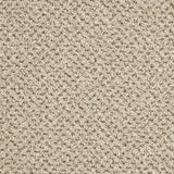 Primo Tweeds carpet
