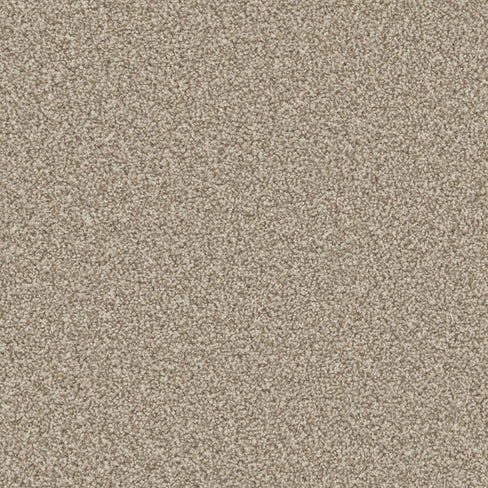 Apollo Plus carpet
