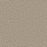 Apollo Plus carpet