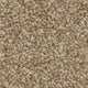 Inglewood Saxony carpet