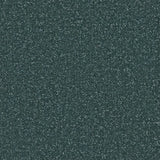 Apollo Plus carpet