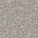 Apollo Plus carpet