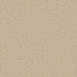 Primo Naturals carpet