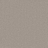Primo Naturals carpet