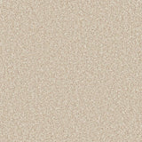 Primo Ultra Carpet