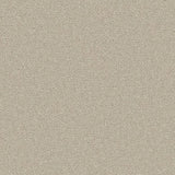 Apollo Plus carpet