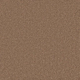 Primo Naturals carpet
