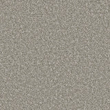 Apollo Plus carpet