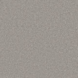 Pebble