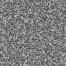 Apollo Plus carpet