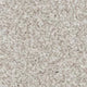 Inglewood Saxony carpet