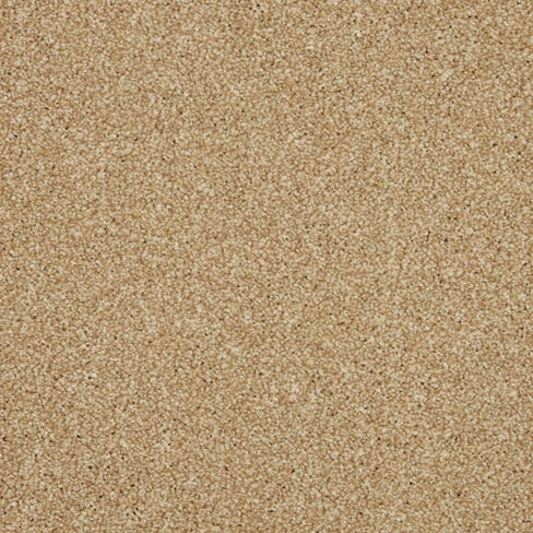 Inglewood Saxony carpet