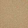 Inglewood Saxony carpet