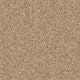 Primo Naturals carpet