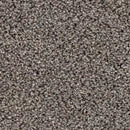 Trinity carpet