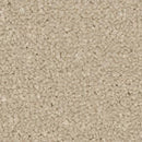 Apollo Plus carpet