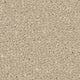 Apollo Plus carpet