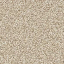 Apollo Plus carpet