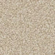 Apollo Plus carpet