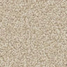 Apollo Plus carpet