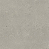 SilverTex Vinyl
