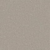 Apollo Plus carpet