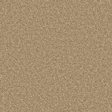 Apollo Plus carpet