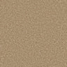 Apollo Plus carpet