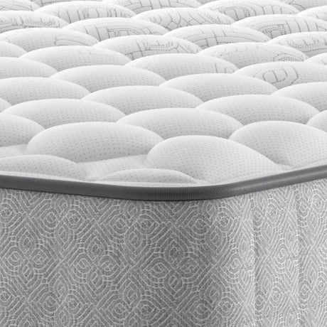 Sealy Emin Firm Ottoman Bed Set