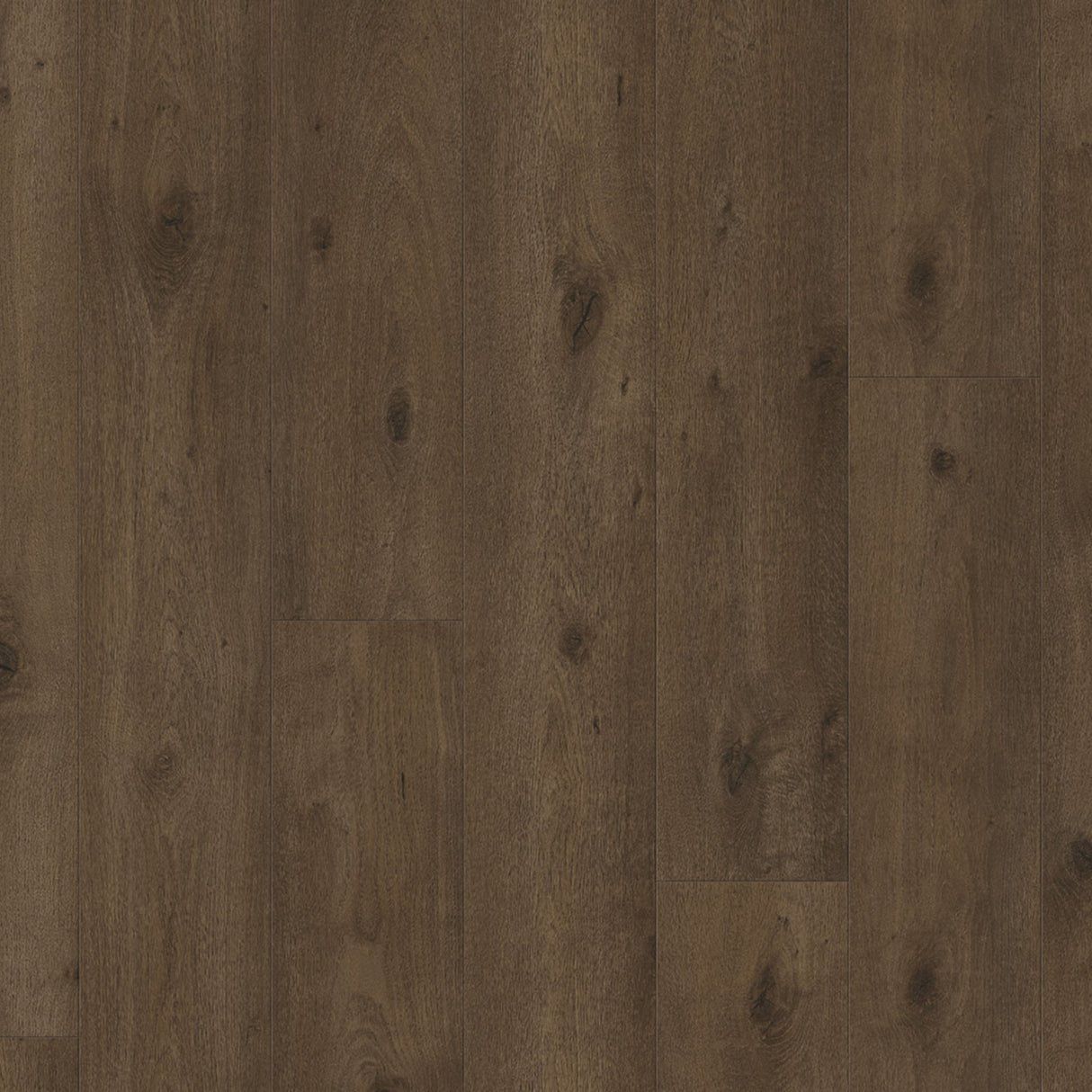 Parador Trendtime 6 Laminate