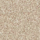 Inglewood Saxony carpet