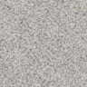 Inglewood Saxony carpet