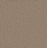 Woodland Forest Bark