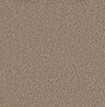 Woodland Forest Bark