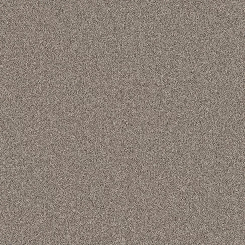 Primo Naturals carpet