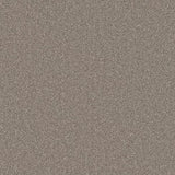 Primo Naturals carpet
