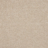 Abingdon Celestial Carpet - Almond Silk