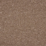 Abingdon Celestial Carpet - Cocoa Cream