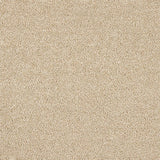 Abingdon Celestial Carpet - Cream Coffee