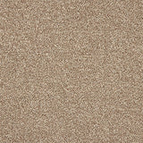 Abingdon Celestial Carpet - Driftwood