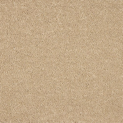 Abingdon Celestial Carpet - Smooth Cream