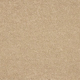 Abingdon Celestial Carpet - Smooth Cream