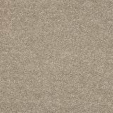 Abingdon Celestial Carpet - Soft Suede