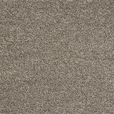 Abingdon Celestial Carpet - Velvet Earth
