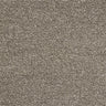 Abingdon Celestial Carpet - Velvet Earth